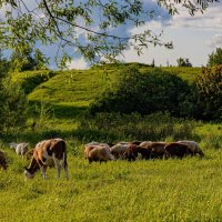Окрестности :: Юра Викулин