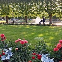 В парке Кадриорг :: Veera V В парке Кадриорг :: Veera V