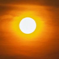 Жара. :: Виктор Иванович Чернюк