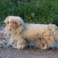 Случайные встречи :: Любовь Сахарова