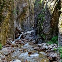 ПО ГОРАМ. :: Виктор Осипчук