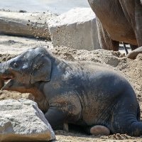 В песочнице :: Андроник Александр 