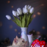 I love you... :: Shmual & Vika Retro