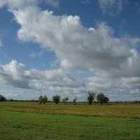 Август :: Anna Ivanova