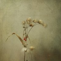 *** :: Oleg Rastorguev *** :: Oleg Rastorguev