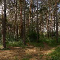 *** :: Владимир 