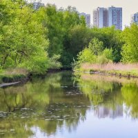 По дороге ... :: Kirill 