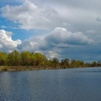 ... :: Елена Пономарева