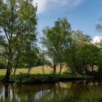 В майском парке... :: Николай Гирш В майском парке... :: Николай Гирш