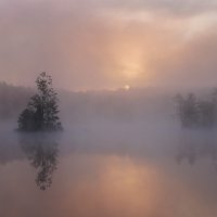 Утро туманное :: Sergey38 