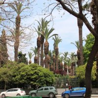 Измир :: Сергей Никифоров