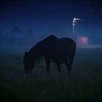 Ночное. (Из жизни села) :: Георгий 