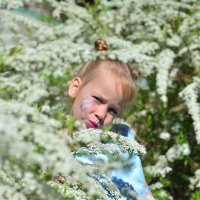 В кустиках :: Джексон 