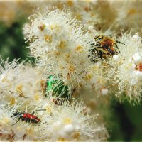 ЖЖЖЖ :: AZ east3 ЖЖЖЖ :: AZ east3