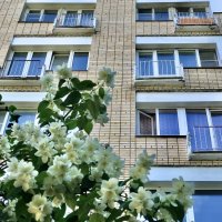 Окна-11 :: Любовь Окна-11 :: Любовь