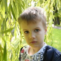 ... :: ВЛАДИМИР 