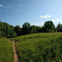 "Над тобою, поле, небо голубое, небо Родины моей" (из песни советских времён) :: Андрей Лукьянов