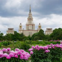 В ботаническом саду МГУ :: Ольга В ботаническом саду МГУ :: Ольга