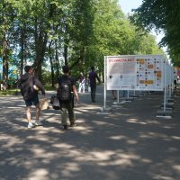 фотовыставка ВОЗРАСТА.NET :: zavitok * фотовыставка ВОЗРАСТА.NET :: zavitok *