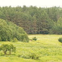 На том берегу :: Татьяна Тюменка