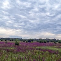 Утро :: Сергей Цветков