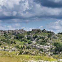 Лаго-Наки :: Игорь Сикорский