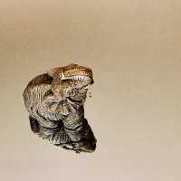 Слоник :: Юрий Гайворонскiий