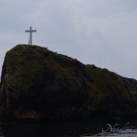 Природа Крыма :: Amazing Cosmea Природа Крыма :: Amazing Cosmea