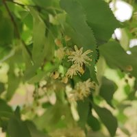 ,,, :: Сергей Тимоновский