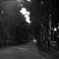 Тенистая аллея :: Михаил Соколов