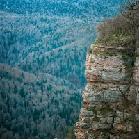 ... :: Игорь Хижняк