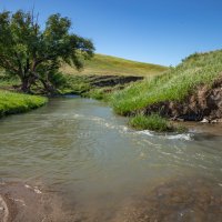 Лето :: Сергей Мурзин