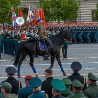 Кавалерист :: Павел Катков Кавалерист :: Павел Катков