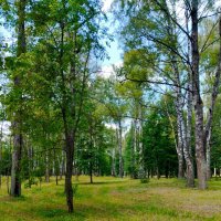 В парке :: Галина Бобкина