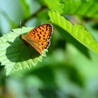 Передышка :: Геннадий Супрун