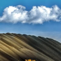 Почти дюны. :: александр 