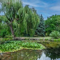 Прогулка по парку.Пруды :: Варвара 