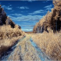 Инфракрасный июнь :: Валентин Котляров