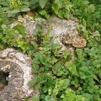 Красиво и интересно. :: Андрей Хлопонин