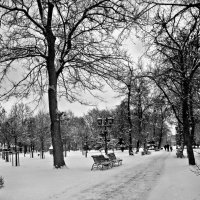 ЧБ фотография :: Роман Савоцкий