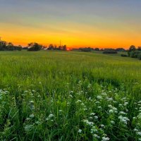 Jāņi :: Arturs Ancans