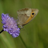 Как прекрасен этот Мир... :: Aleksandr Gal