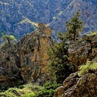 ВЗГЛЯД ПО СТОРОНАМ. :: Виктор Осипчук ВЗГЛЯД ПО СТОРОНАМ. :: Виктор Осипчук