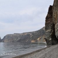 Природа Крыма :: Amazing Cosmea Природа Крыма :: Amazing Cosmea