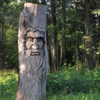 В парке :: Александр Ильчевский В парке :: Александр Ильчевский