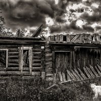 Номер 13 :: александр 