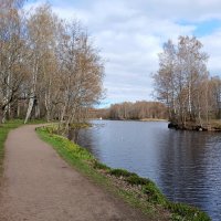 Аллея вдоль реки. :: Лия ☼