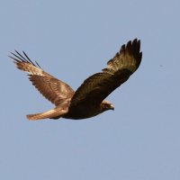 Украшение гор. :: Александр Кондаков