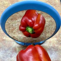 Отражение :: Виктор Орехов