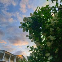 Закат :: Сапсан 